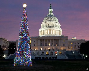 Say Goodbye To The Good Life - The U.S. Capitol With A Babylonian Holiday Tree In The Foreground