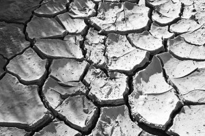 Drought - Photo by Bert Kaufmann