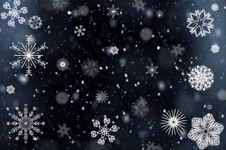 snowflake-public-domain