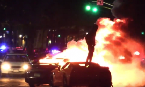 Enormous Mobs Are Literally Taking Over The Streets Of Major U.S. Cities On A Nightly Basis