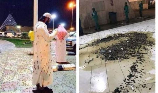 Plague Of Locusts In Mecca 540x319 - Signs Of The Times? A Plague Of Locusts Hits Mecca And Earth’s Magnetic Pole Is Experiencing A “sudden Shift” - Economic News